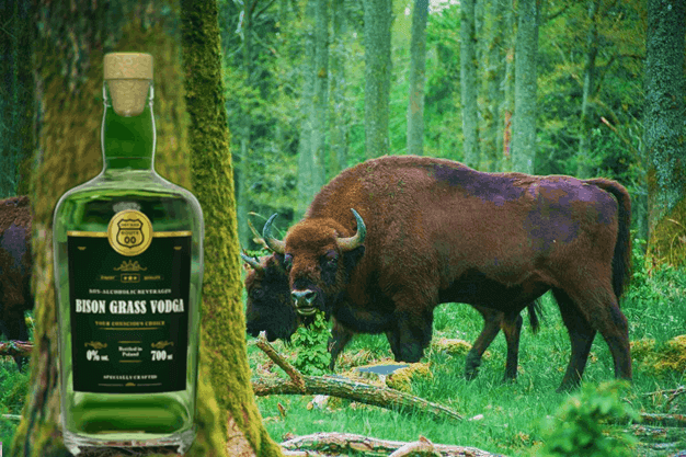 Buena Vista Irish Coffee